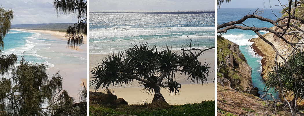 Gold Coast Workshops, EFT